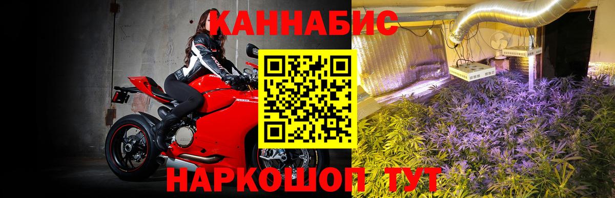 Канабис ГИДРОПОН Геленджик
